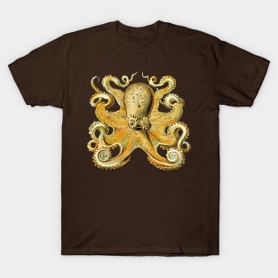 Vintage 1904 Haeckel Octopus - Cephalopod Octopoda Ocean Creature T-Shirt